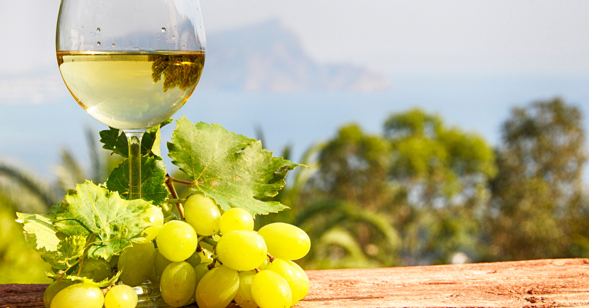 non alcoholic sugar free wine