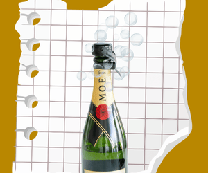 6 Best Champagne Bottle Stopper That Never Let Your Fizz Die