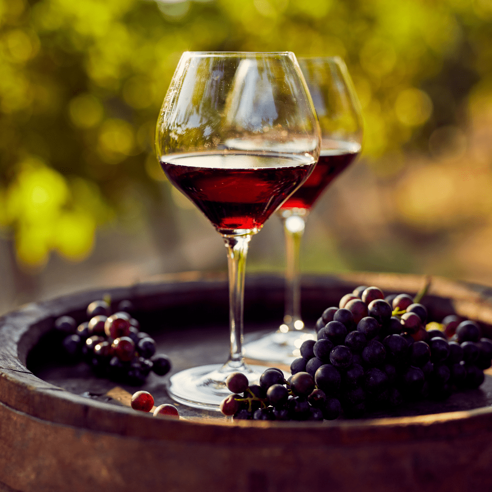 The 7 Best Red Wines for Non Wine Drinkers (Smooth, Soft and Not Too Dry)