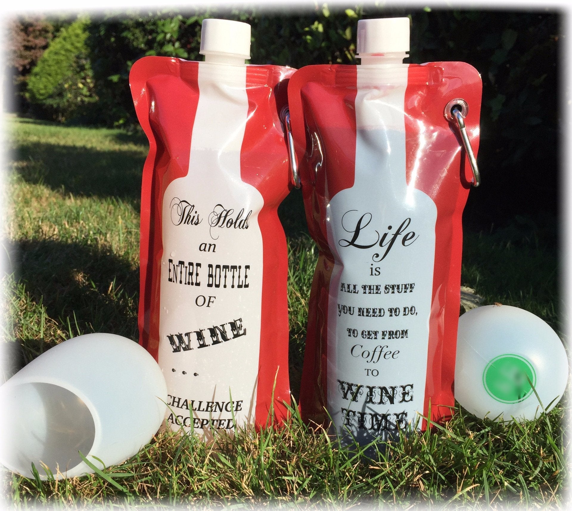 Portable Wine - on - the - Go Flask & Silicone Cup Set | 750ml Travel Pouch - True Wine Lover