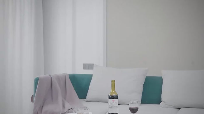 wine carafe chiller